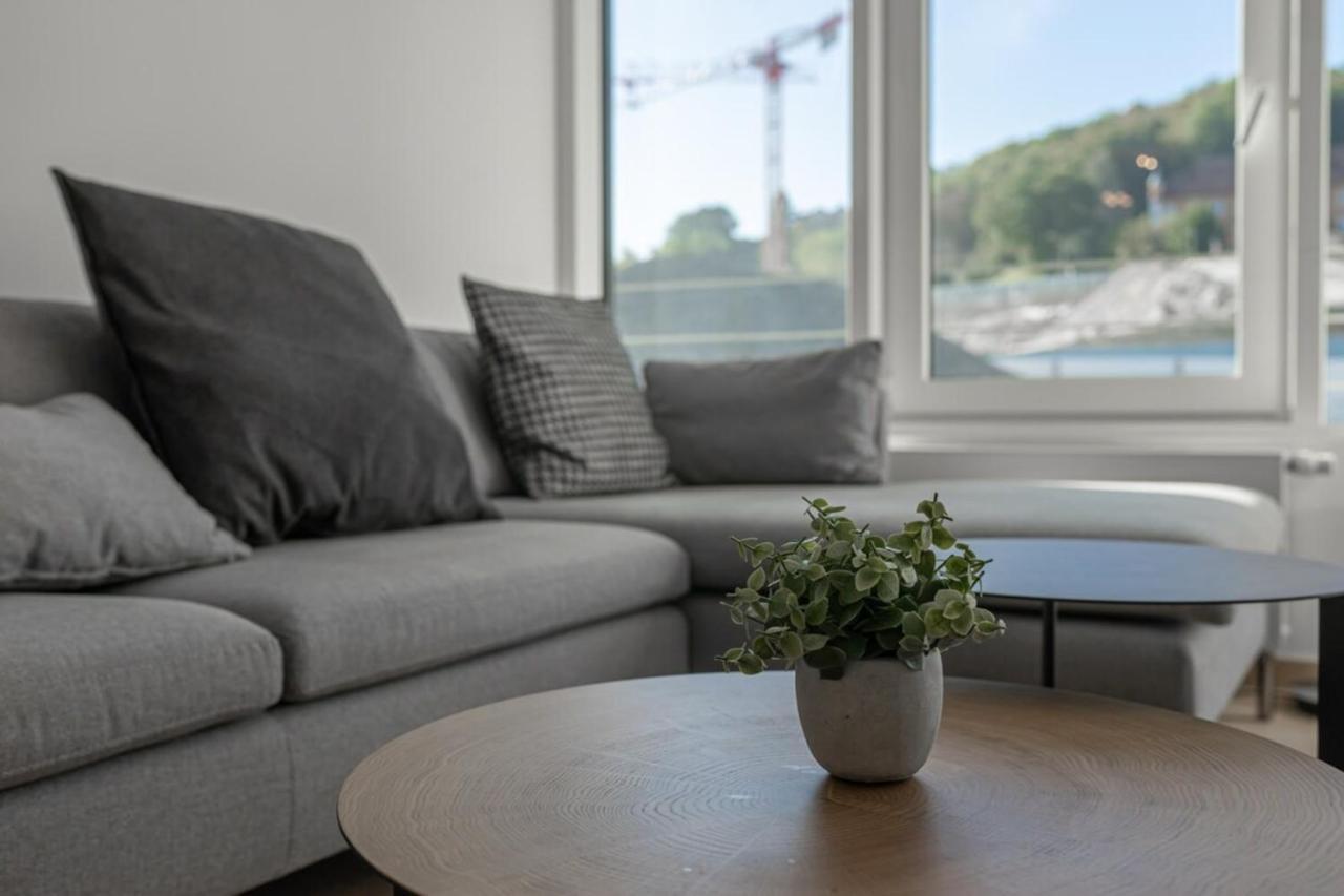 L'Estrade Appartement アヌシー エクステリア 写真
